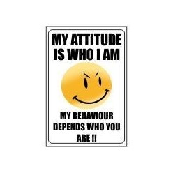 My Attitude Is Who I Am, My...