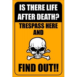 Is There Life After Death?...