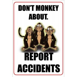 Don't Monkey About Report...