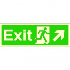 Photoluminescent Exit Arrow...