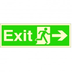 Photoluminescent Exit Arrow...