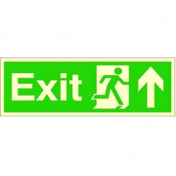 Photoluminescent Exit Arrow...